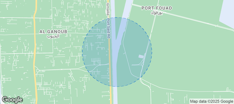 Discover Port Said Governorate Airbnb Analytics